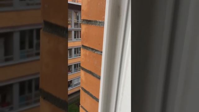 Замена уплотнителя на окнах самостоятельно