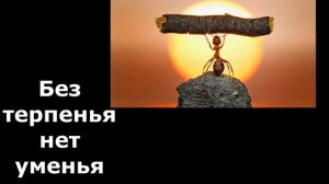 Пословицы о труде. Часть 1. С озвучиванием. Пословицы и поговорки. Забытые поговорки.