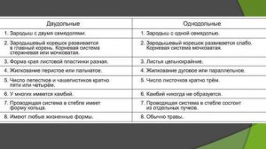 Покрытосеменные: происхождение и классификация