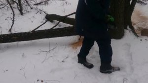 Брестмаш БП 245 Стандарт в работе