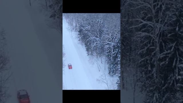 Возвращение попугая Кеши. трейлер