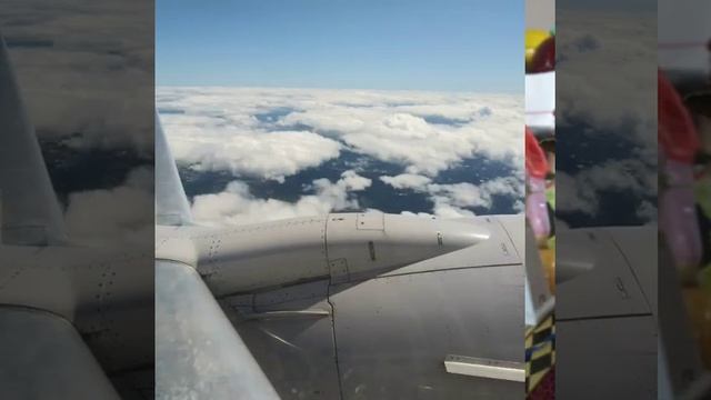 Eva Ybarra Y Su Conjunto Siempre Rebecca Polka Composed By Eva Araiza Ybarra смотреть онлайн