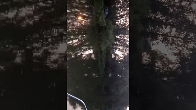 Омск.Дружино.