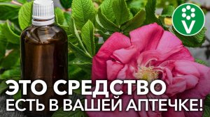 Аптечное лекарство от всех БОЛЕЗНЕЙ РОЗ!