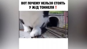 Девушка ОПОЗОРИЛАСЬ в спортзале