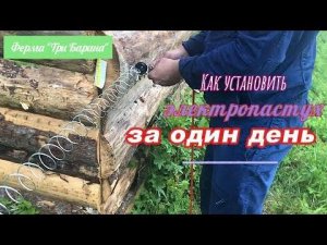 Как установить электропастуха за один день