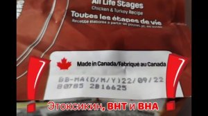 ??? Срок годности сухого корма и как его хранить