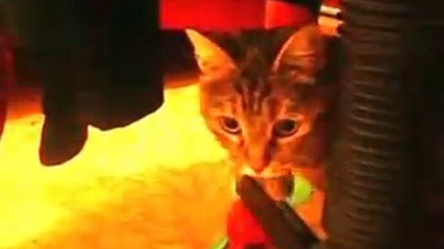 Мотильда смотреть онлайн