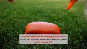 Слышь Ты чё такая дерзкая ! А ! На Случай Важных Переговоров