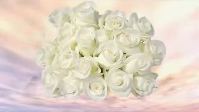 S & H Derkul Букет из белых роз смотреть онлайн