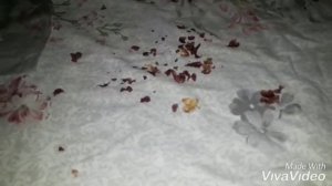 Как приготовить Арахис