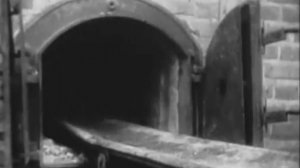 Полковник Васин (Освобождение Украины)