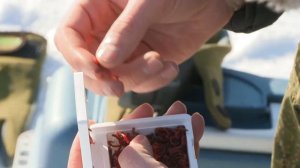 2 Народный проект Алтай Озеро Горькое-Перешеечное Диалоги о рыбалке