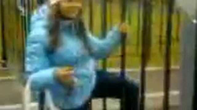 "панда" пролезает через забор смотреть онлайн