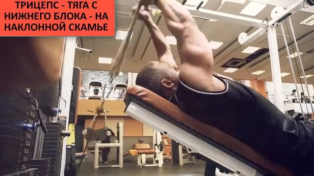 ТРИЦЕПС - ТЯГА С НИЖНЕГО БЛОКА - на НАКЛОННОЙ СКАМЬЕ. смотреть онлайн