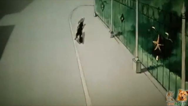 Именинники марта. Поздравление от Зоохелп33. смотреть онлайн