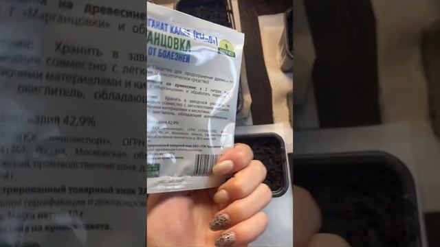 Семена прорастут за несколько часов. Посадка баклажанов на рассаду смотреть онлайн