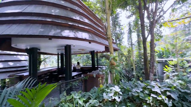 🧘🏻♂️ Bali Bliss: Unveiling the Magic of Ubud - Culture, Cuisine, and Captivating Views!  🌾