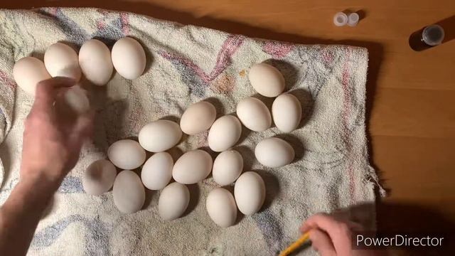 Жизнь не стоит на месте…Закладываю утиные яйца в инкубатор смотреть онлайн