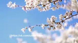 Энергетическая работа с глазами! Медитация! (Практика ДЭИР) Яфясова Галия