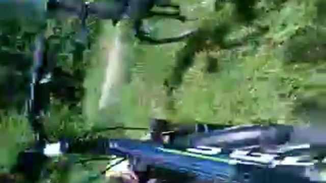 Мёртвая полевая мышь смотреть онлайн