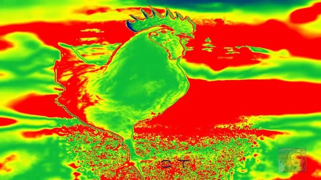 Год 2017 - Огненного розового Петуха смотреть онлайн