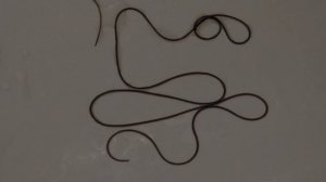 Конский волос.