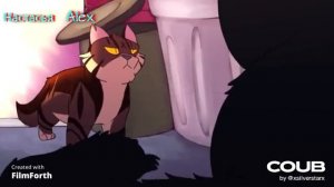 Коты воители клип Havana