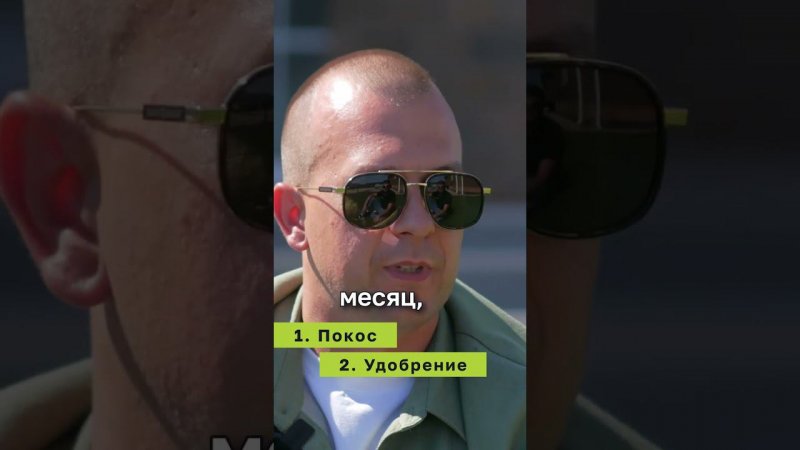 Три вида Ухода за Газоном #кошениегазона #поливгазона #удобрениегазона #благоустройствоучастка