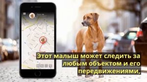 GPS трекер mini A8 обзор / Мини трекер для отслеживания и прослушки: ребенка, машины, собак