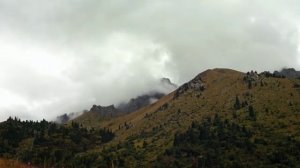 Южный Казахстан - Горы Алматы и Балхаш