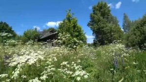 СТАРИННАЯ ЗАБРОШЕННАЯ ДЕРЕВНЯ СУХОДОЛ, НИЖЕГОРОДСКАЯ ОБЛАСТЬ