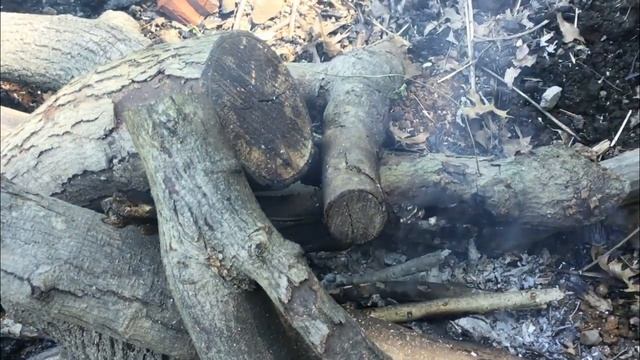 Mukbang & Chill / Family Fish Fry смотреть онлайн