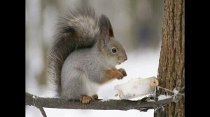 'Интересное о белках''