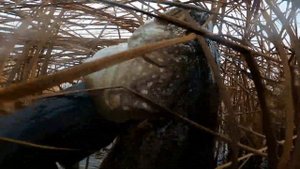Время для подвоха .3.11.21 .Подводная охота Усть-Бельск .#моёхобби