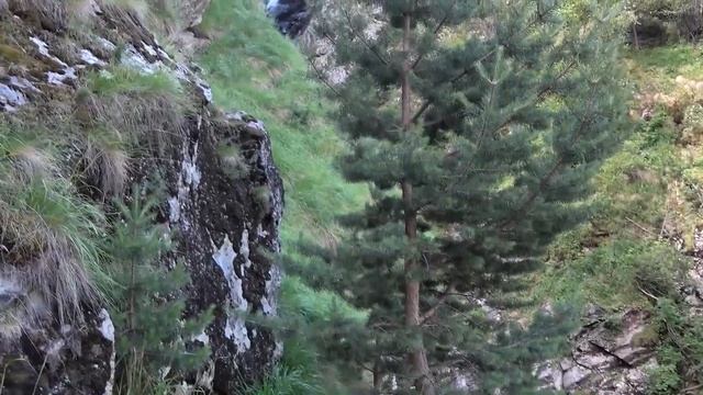 Приэльбрусье прогулка на Поляну нарзанов смотреть онлайн