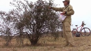 11_10_2020_СТЕПЬ_СТАВРОПОЛЬЕ.mp4