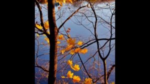 Белая береза.mpg