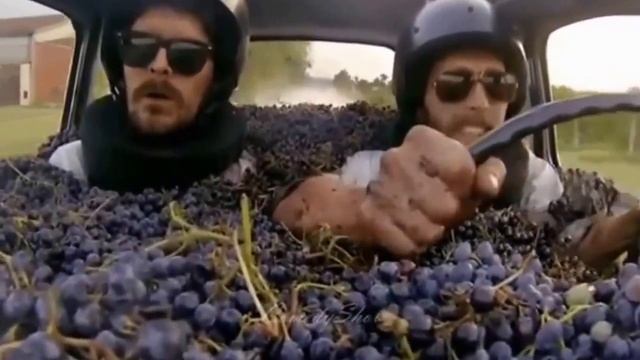 Салон полный виноградом смотреть онлайн