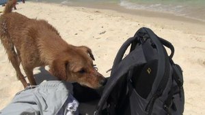 На тайский Ко Липе (Koh Lipe) с малайского Лангкави за день