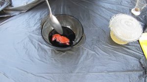 Готовим на мангале свиную пузанину и куриную печенку #свинина #мясо #мангал #печенка #курица