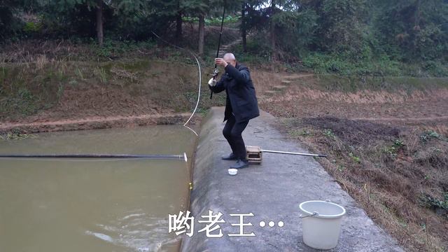 【农村四哥】70岁农村老人退休生活，两夫妻钓鱼收获满满，恩爱的画面让人羡慕 смотреть онлайн
