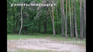 как тренировать сердце