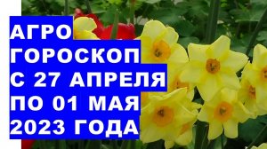 Агрогороскоп с 27 апреля по 01 мая 2023 года. Агрогороскоп з 27 квітня до 01 травня 2023 року