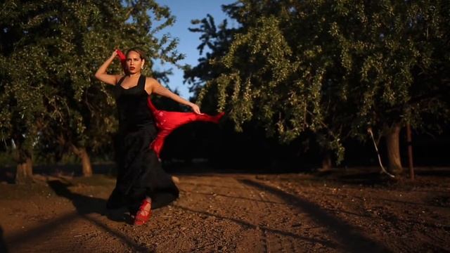 Sevillanas con manton: La Primera смотреть онлайн