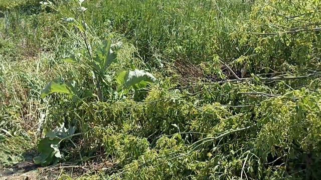 5 июля 2022 г. смотреть онлайн