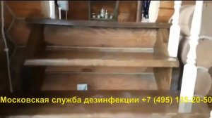 Фумигация фосфином деревянного дома