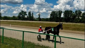 YUMASHEVA ELENA  на ипподроме