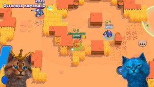ПЕРВАЯ ИГРА ЗА ВОЛЬТА В БРАВЛ СТАРС Весёлый Кот и КОТЁНОК ЛАЙК...! BRAWL STARS