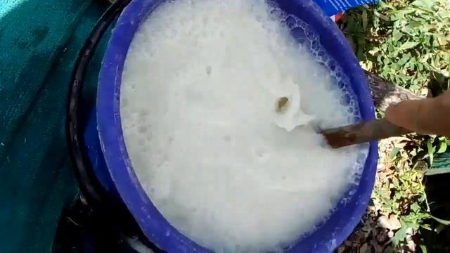 Известкование пруда с рыбой   как и когда проводить
